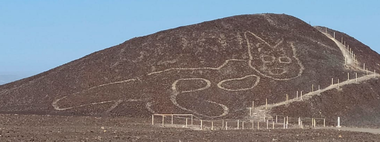 Conturul unei pisici vechi de 2.000 de ani, descoperit în deşertul Nazca din Peru