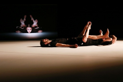 „Kultur made in AT” - Ziua Naţională a Austriei, marcată prin evenimente online: Muzică, expoziţii, film queer şi dans contemporan