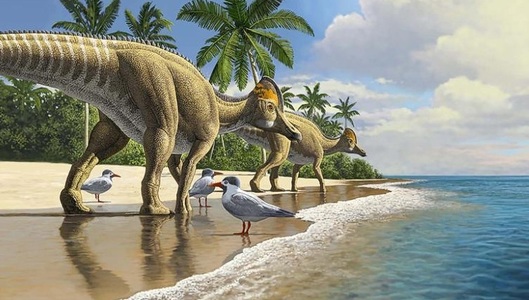 Descoperiri de noi fosile sugerează că dinozaurii călătoreau peste oceane