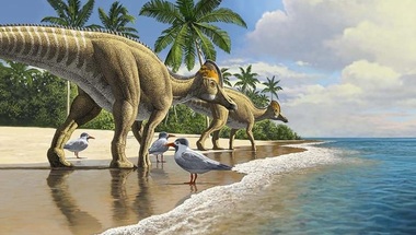 Descoperiri de noi fosile sugerează că dinozaurii călătoreau peste oceane