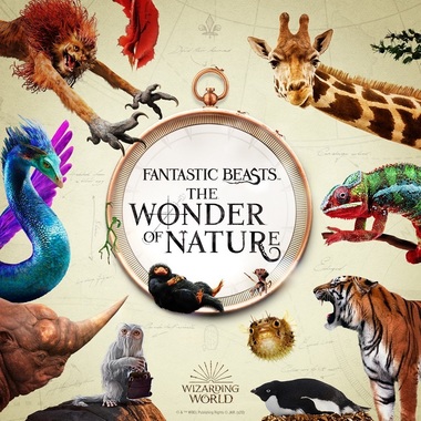 Mai mult de 100 de specii care au inspirat filmele de aventuri "Animalele fantastice" au invadat Muzeul de Istorie Naturală de la Londra