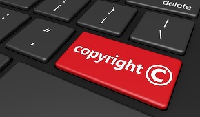 Ministerul Culturii a înfiinţat grupul de lucru pentru modificarea legii privind dreptul de autor şi drepturile conexe

