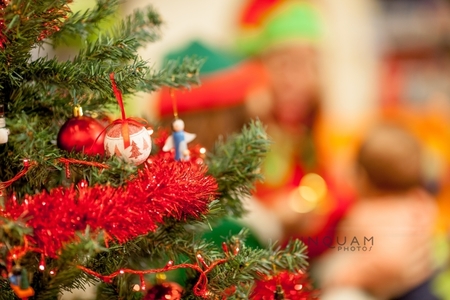 Crăciunul - sărbătoarea familiei cu tradiţii religioase, obiceiuri populare şi superstiţii