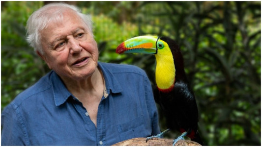 Naturalistul nonagenar David Attenborough nu va reveni pe Instagram

