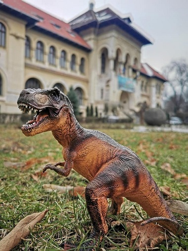 Mai mult de 30 de specii de dinozauri animaţi, în curtea Muzeului Naţional de Geologie - VIDEO