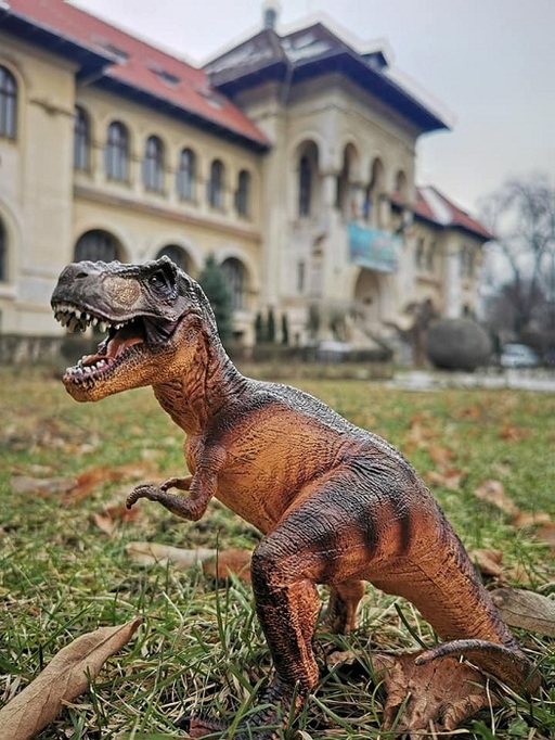Mai mult de 30 de specii de dinozauri animaţi, în curtea Muzeului Naţional de Geologie - VIDEO