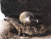 Lucrări de Constantin Brâncuşi şi Adrian Ghenie, vândute în licitaţie la Bucureşti - FOTO
