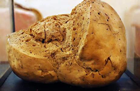 Exponat unic în lume, la Muzeul de Istorie din Galaţi  - Este vorba despre cea mai veche pâine din lume, preparată în 1892

