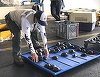 Ecuador - Un poliţist a fost arestat pentru trafic de ţestoase în Galapagos