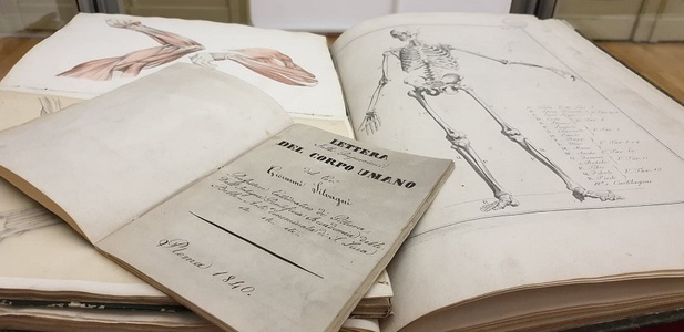 Manuale de anatomie pentru predare în învăţământul italian din patrimoniul Colecţiei Tattarescu, expuse la Palatul Suţu