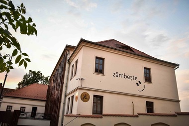 Intrare gratuită la Teatrul "Gong" Sibiu pentru părinţii vaccinaţi anti-Covid