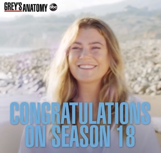ABC a anunţat că va lansa sezonul 18 al serialului "Grey’s Anatomy"