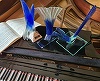 Tineri muzicieni din Ungaria, Croaţia şi România, câştigători ai competiţiei internaţionale "Youth of Music"
