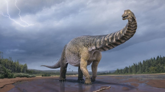 Cercetătorii australieni au clasificat o specie de dinozaur descoperită în 2007 drept cea mai mare găsită vreodată pe continent