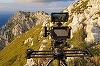 „România Sălbatică”, amplu proiect documentar, va avea premiera naţională la TIFF