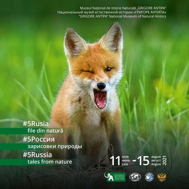 Expoziţie de fotografie "Rusia - file din natură", la Muzeul "Antipa"