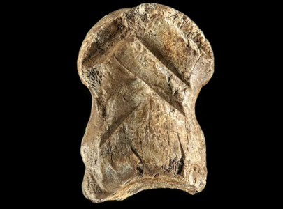 Un os preistoric sculptat ar putea fi cea mai veche lucrare de artă din lume descoperită vreodată