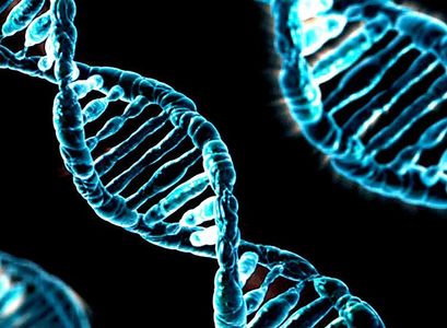 Doar 7% din ADN-ul nostru este unic oamenilor moderni - studiu