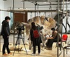 Cel mai mare Triceratops cunoscut, expus la Paris înainte de a fi scos la licitaţie