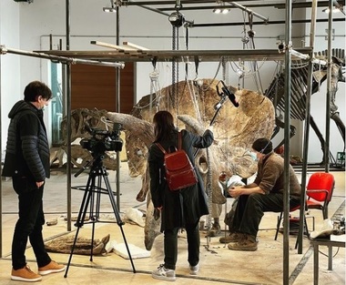 Cel mai mare Triceratops cunoscut, expus la Paris înainte de a fi scos la licitaţie
