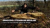 Astra Film Festival - Documentare despre dezastrele de mediu din România şi din Grecia, prezentate în programul „Bărcile de Salvare”