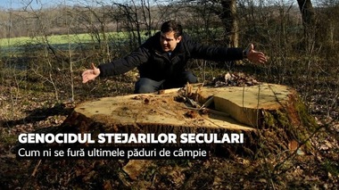 Astra Film Festival - Documentare despre dezastrele de mediu din România şi din Grecia, prezentate în programul „Bărcile de Salvare”