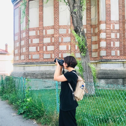 Un colaj fotografic realizat de artista Anastasia Savinova va fi reprodus pe un calcan de 20 de metri pătraţi din Craiova - FOTO
