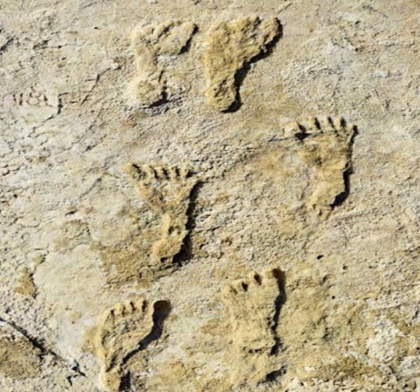 Urme de paşi, considerate cele mai vechi amprente lăsate de om, au fost descoperite în America de Nord