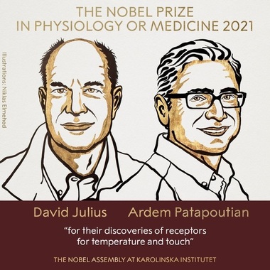 Cercetătorii americani David Julius şi Ardem Patapoutian, laureaţii Premiului Nobel pentru Medicină pe 2021
