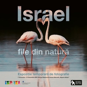 Fotografii cu parcuri naturale şi rezervaţii din Israel, expuse la Muzeul "Antipa"