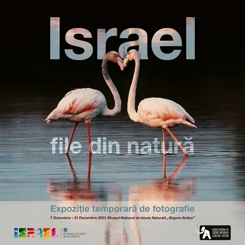 Fotografii cu parcuri naturale şi rezervaţii din Israel, expuse la Muzeul "Antipa"