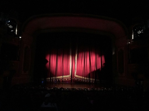 Ziua Mondială a Baletului, marcată de Opera Naţională Bucureşti printr-o gală transmisă online