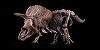 "Big John”, cel mai mare schelet de Triceratops cunoscut, a fost adjudecat la 6,6 milioane de euro la Paris 
