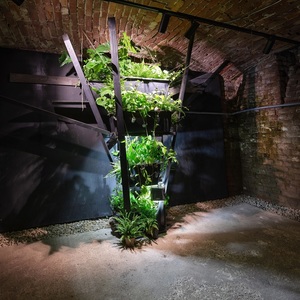 Grădina plantată în subsolul galeriei de artă Gaep va fi oferită vizitatorilor