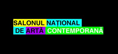 Mai mult de 370 de artişti, la Salonul Naţional de Artă Contemporană din Bucureşti