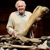 Cinci mamuţi din era glaciară au fost descoperiţi în Cotswolds după 220.000 de ani