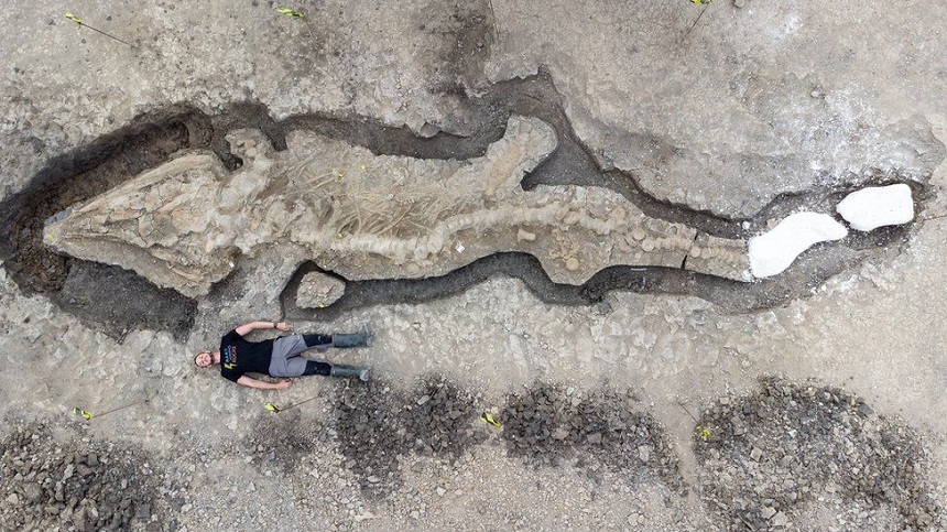 Rămăşiţele unui prădător marin lung de zece metri, descoperite în Anglia