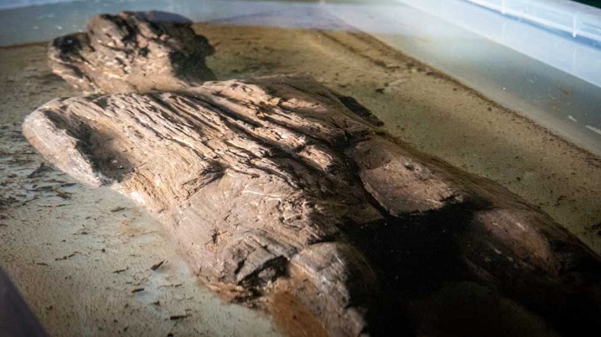 O extrem de rară figură din lemn din perioada romană, găsită de arheologii englezi în timpul lucrărilor la o cale ferată