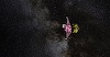 Telescopul Spaţial James Webb a ajuns la destinaţie, la 1,5 milioane de kilometri faţă de Pământ - VIDEO
