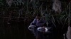 Filmul „Graniţa morţii”, în regia lui Cătălin Apostol, despre absurdul dictaturii comuniste, disponibil gratuit pe canalul YouTube al Arhivei TVR