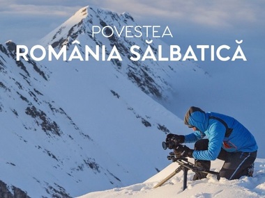 Cum s-a filmat documentarul „România Sălbatică”, o aventură care a durat peste 10 ani, exclusiv online