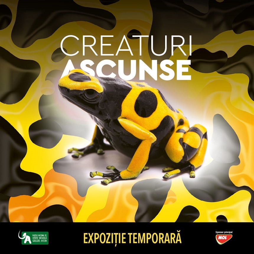 „Creaturi ascunse”, expoziţie temporară la Muzeul „Antipa”