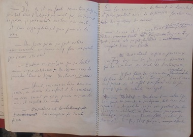 Manuscrisele lui Cioran şi Eliade achiziţionate de Ministerul Culturii vor fi expuse publicului la Biblioteca Naţională a României