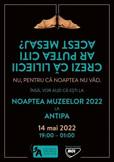 Noaptea Muzeelor la "Antipa": Interceptarea liliecilor din grădină şi colectare entomologică a insectelor nocturne cu ajutorul surselor luminoase speciale