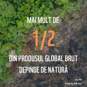 
WWF Internaţional propune o uniune între liderii lumii şi populaţie pentru un viitor sustenabil