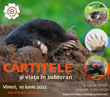 Atelier de vară la „Antipa”: „Cârtiţele şi viaţa în subteran”