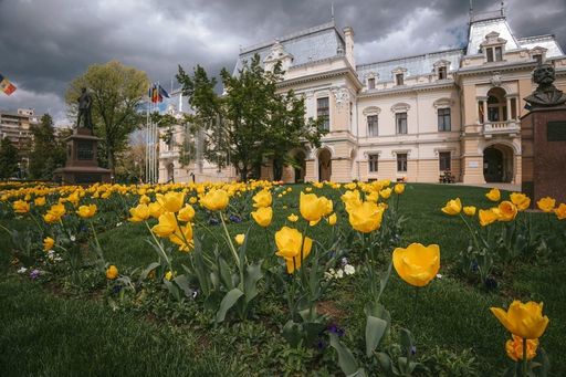 O companie finlandeză de software şi servicii IT, cu trei miliarde euro cifră de afaceri, intenţionează să deschidă o filială în România / Unul dintre oraşele luate în calcul este Iaşi 