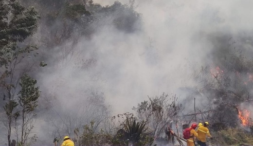 Incendiul din Peru ameninţă Machu Picchu deoarece locaţia îndepărtată împiedică eforturile pompierilor - VIDEO