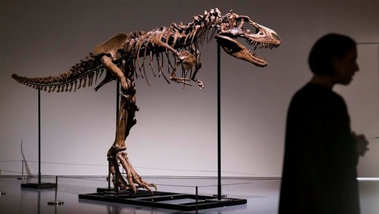 Scheletul unui dinozaur vechi de 76 de milioane de ani este scos la licitaţie la New York