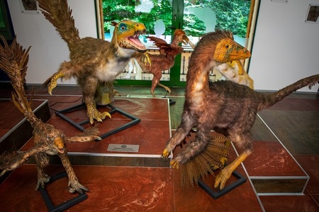 Expoziţie inedită de tablouri ce ilustrează dinozaurii cu pene care au trăit pe Pământ, la Dino Parc Râşnov